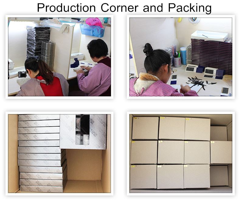 False Eyelash Box Packaging False Eyelash Box Packaging